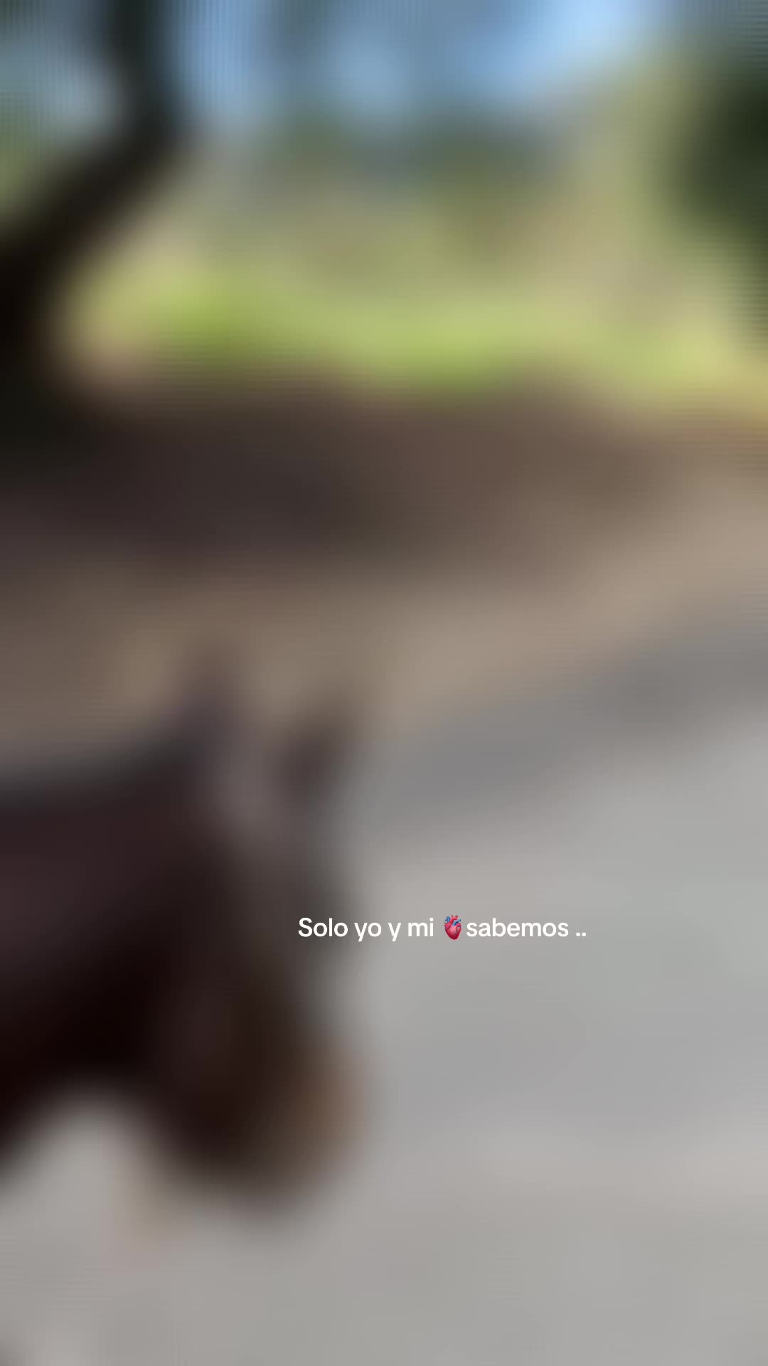 @foreverelyy21