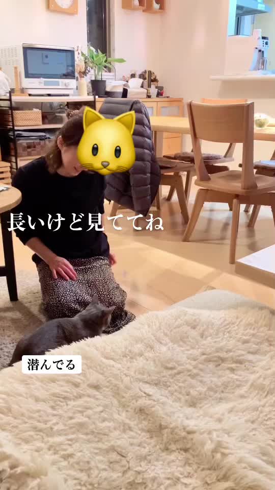 @saekokanehara