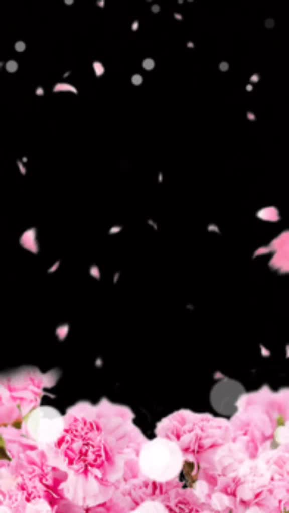 @๐๐๐love๐๐๐