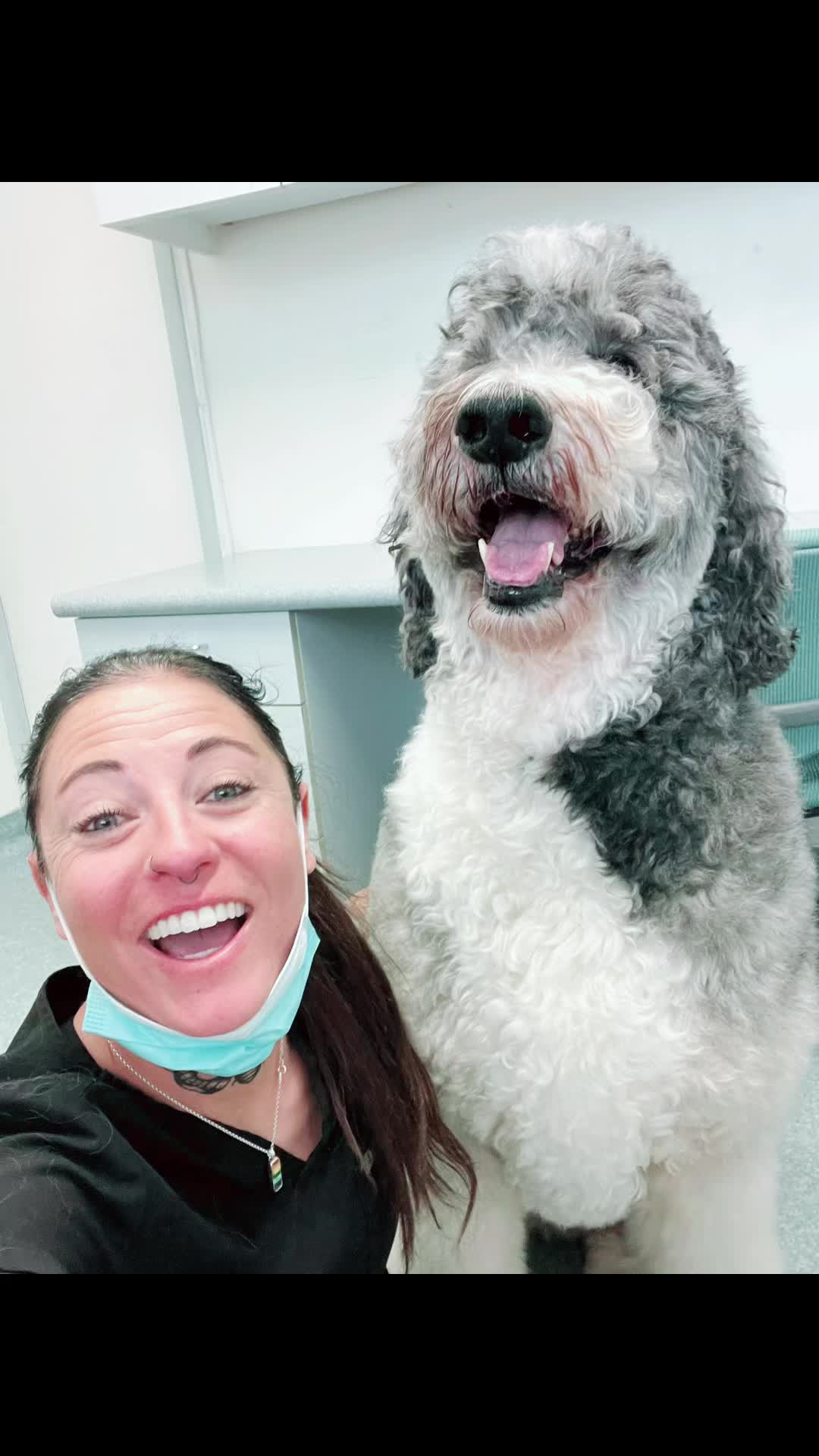 @Elite Pet Dental