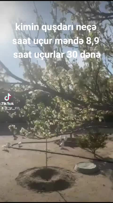 @Əhədov.111
