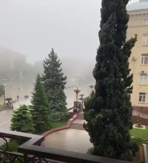@Şems