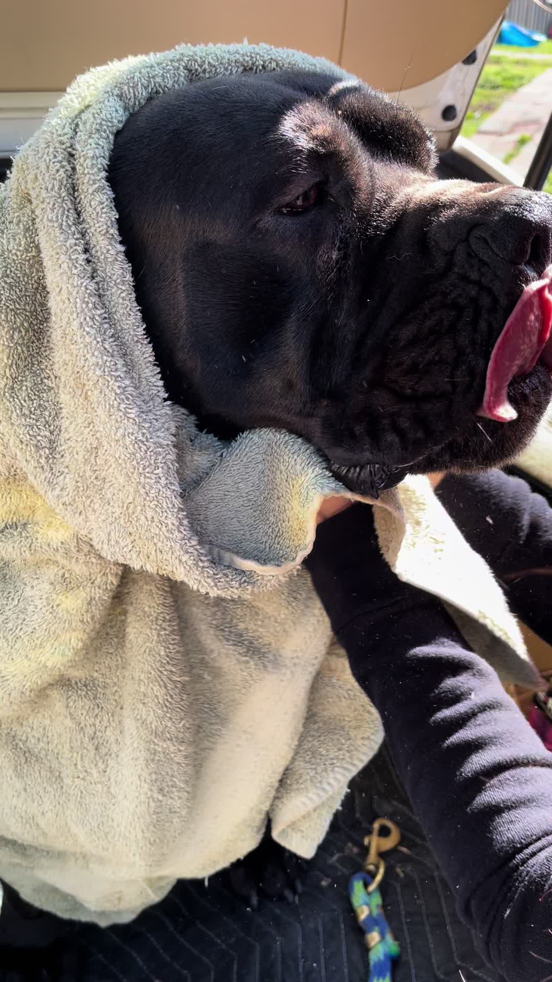 @kyboerboels