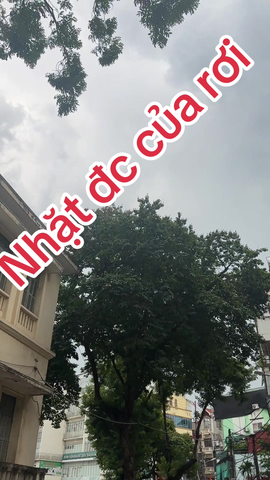 @Hoa sún ( nhí nhố)