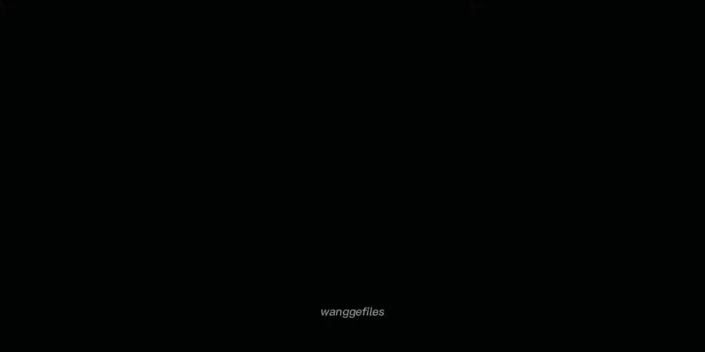 @wanggefiles