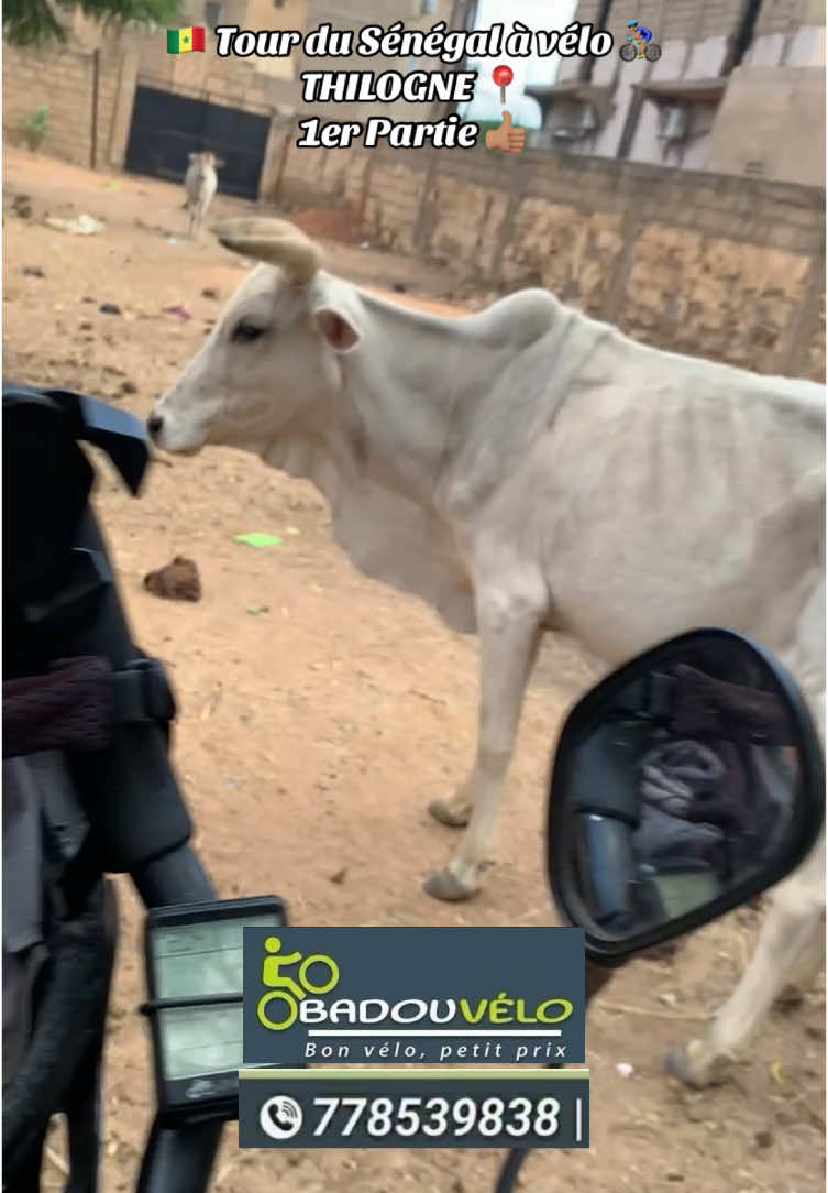 @Badou Vélo 🚴🏾🇸🇳 705154138