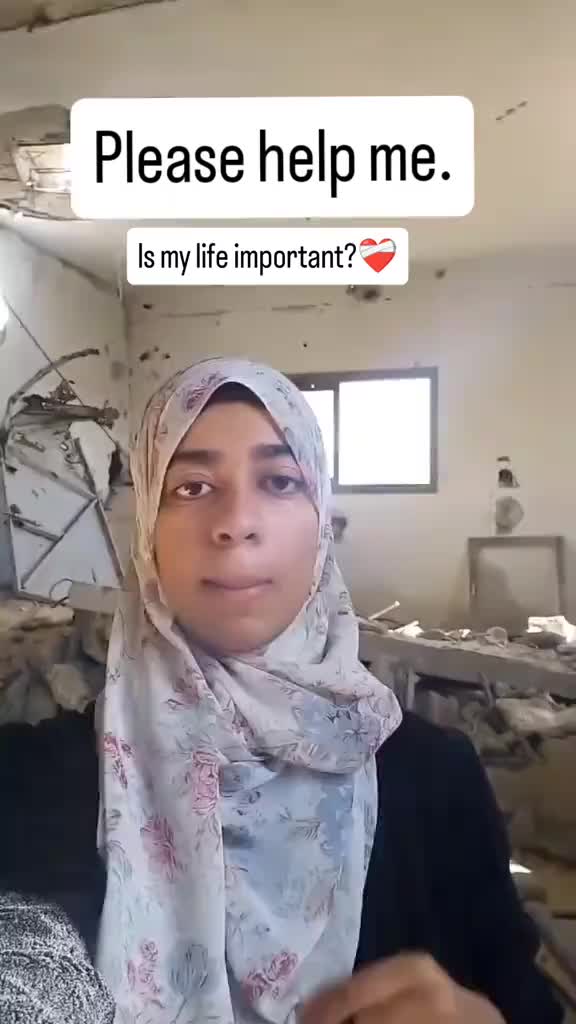 @shoug 🇵🇸