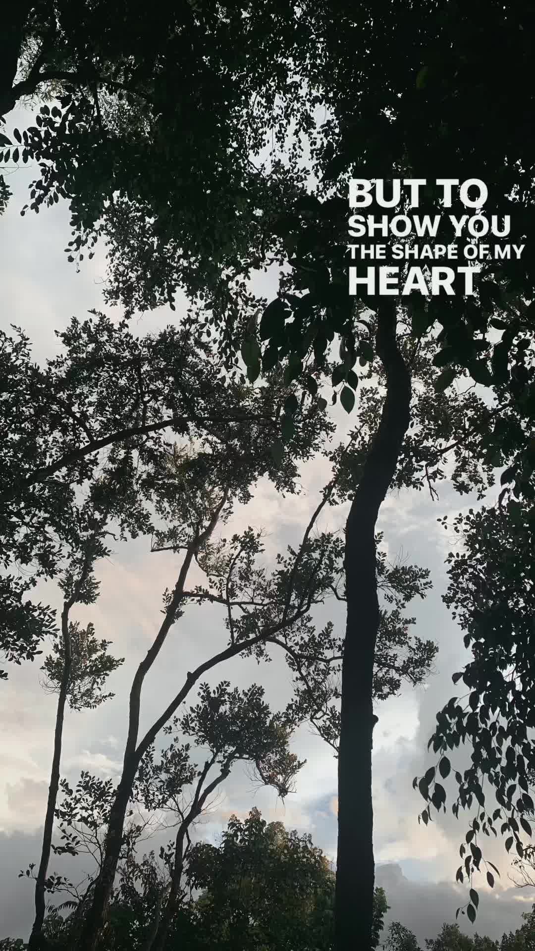 @Dann.