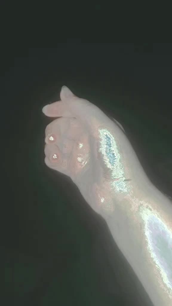 @🦋𝓜𝓲𝓼𝓱𝓲 𝓡𝓪𝓳𝓹𝓸𝓸𝓽🦋✨