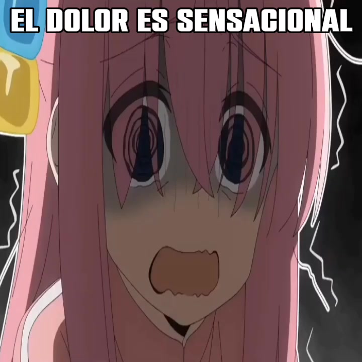 @𝘚𝘰𝘯𝘪𝘤𝘰