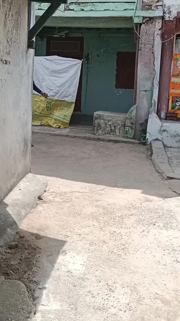 @HA MARU ARVALLI HA GJ 31