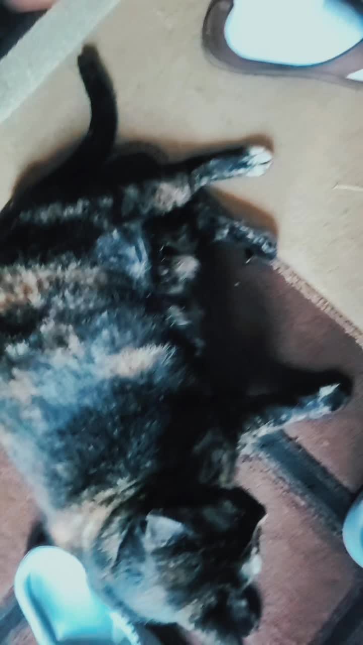 @omegadarthvader