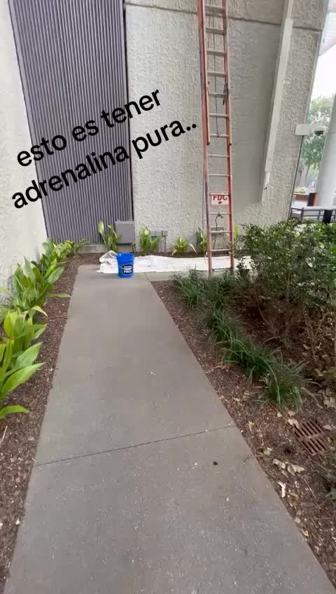 @luisalexanderlizc
