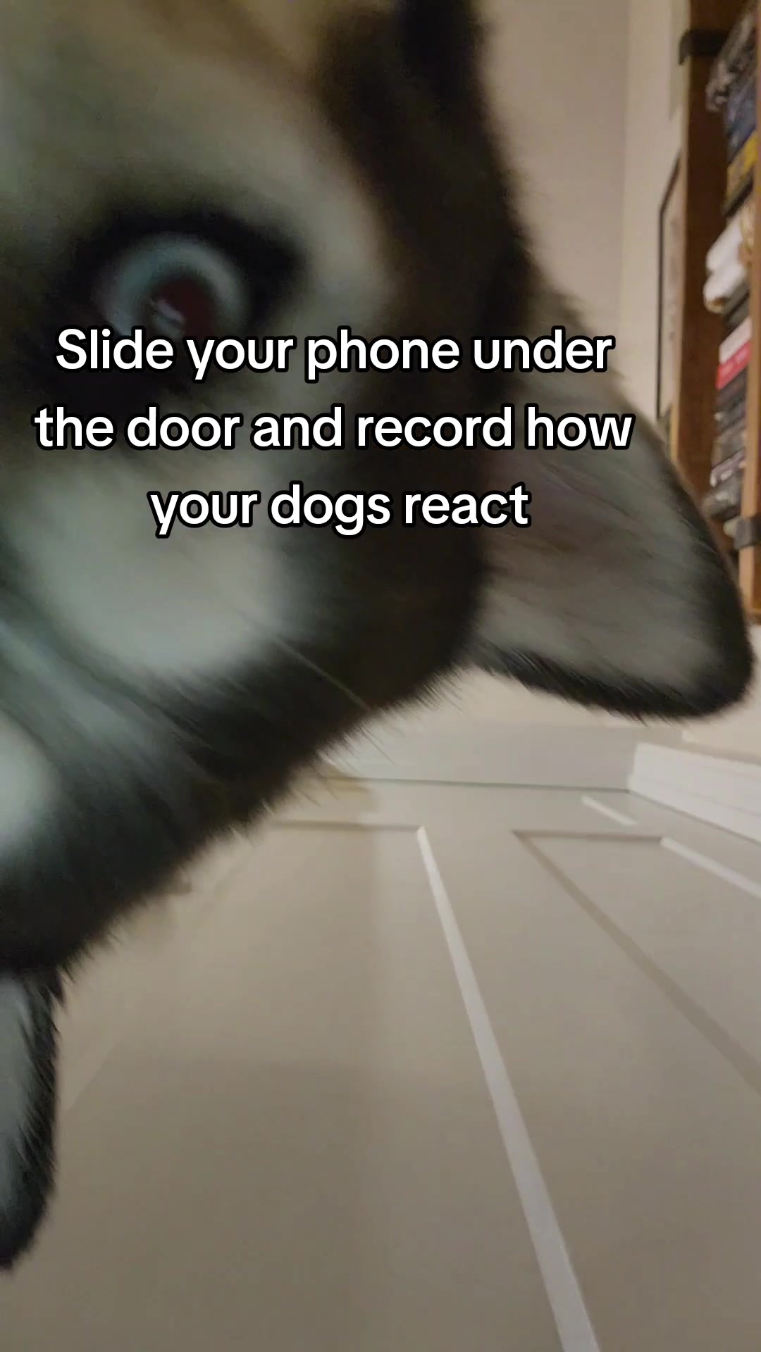 @AM