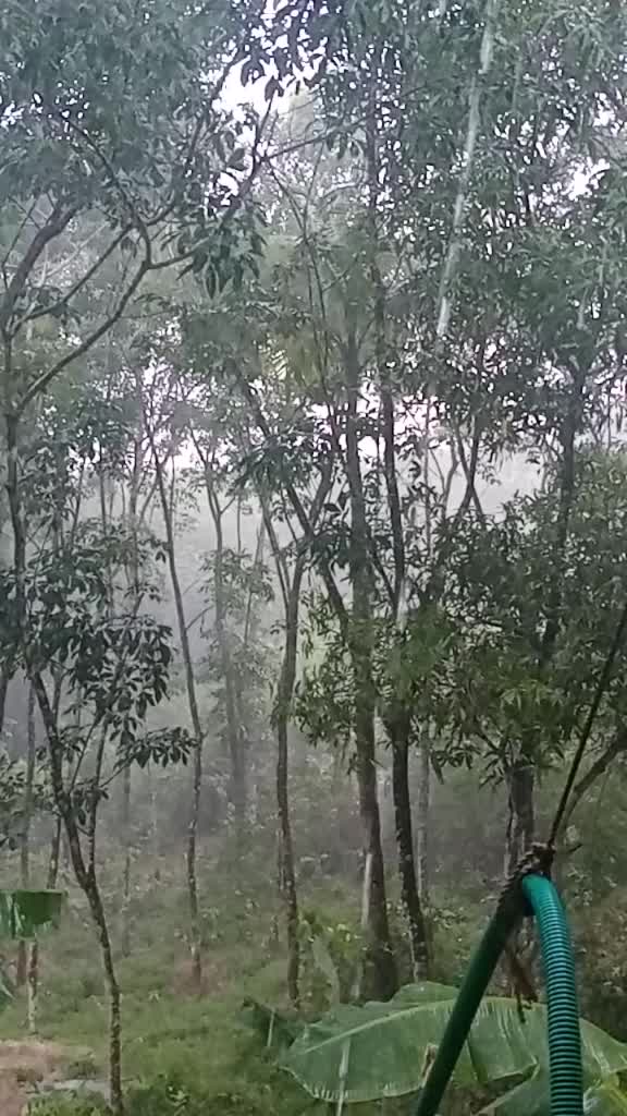 @Sumesh Ambanattu