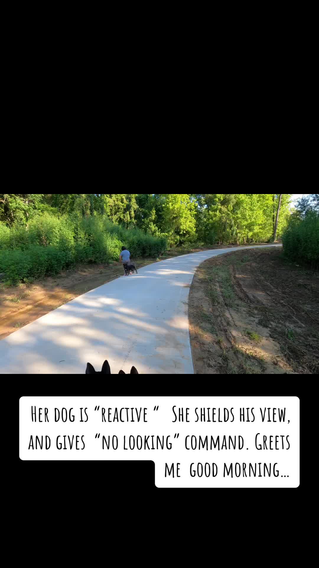 @Malinois Raptor