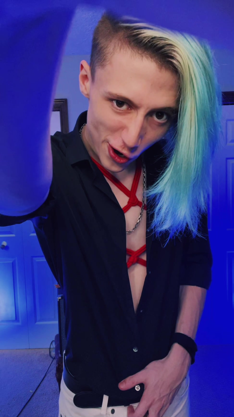 @HoloGoose