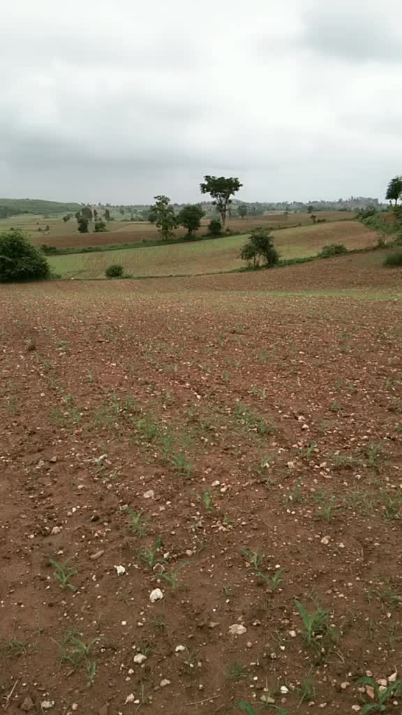 @Basavaraj shivamogga