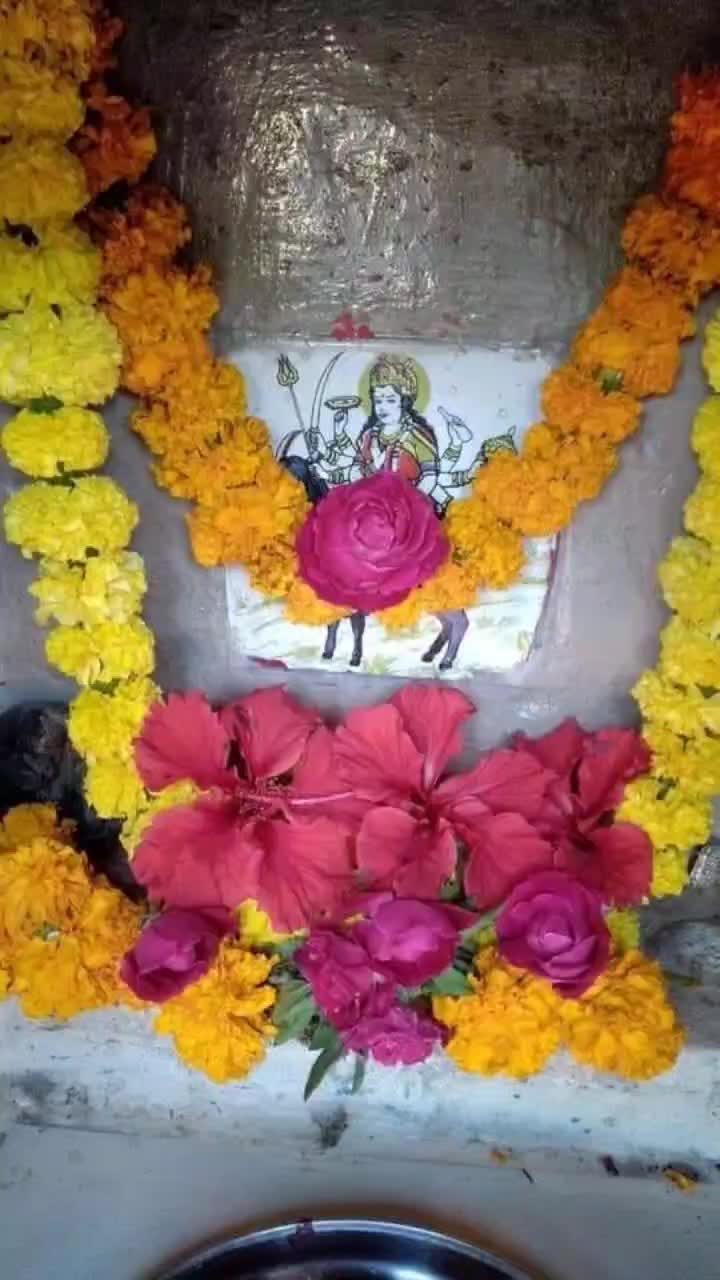 @user8626674011893