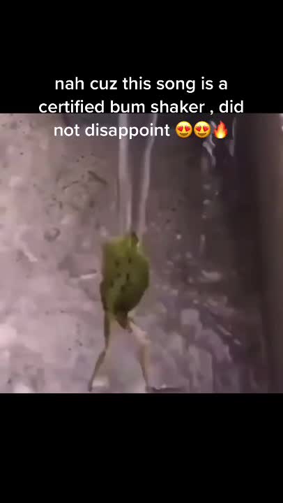 @🤌