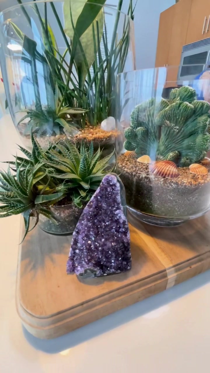 @The_Plant_Blogger