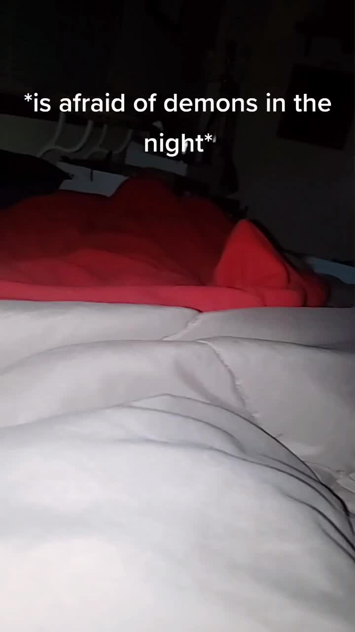 @dragonflames8000