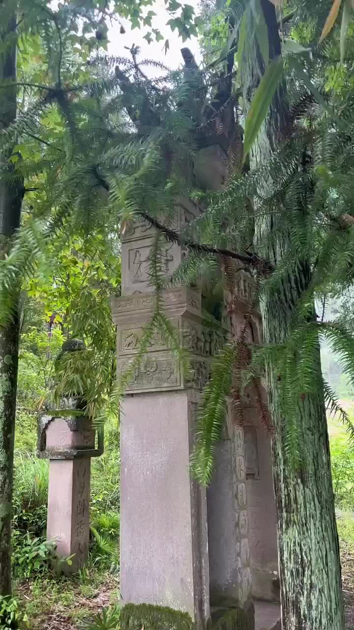 @逸明荒野探墓