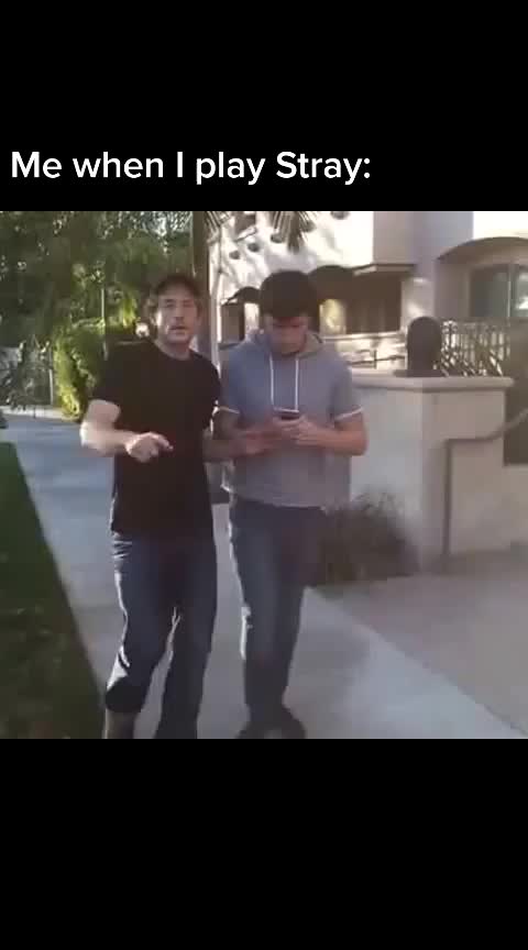 @TMossBoss