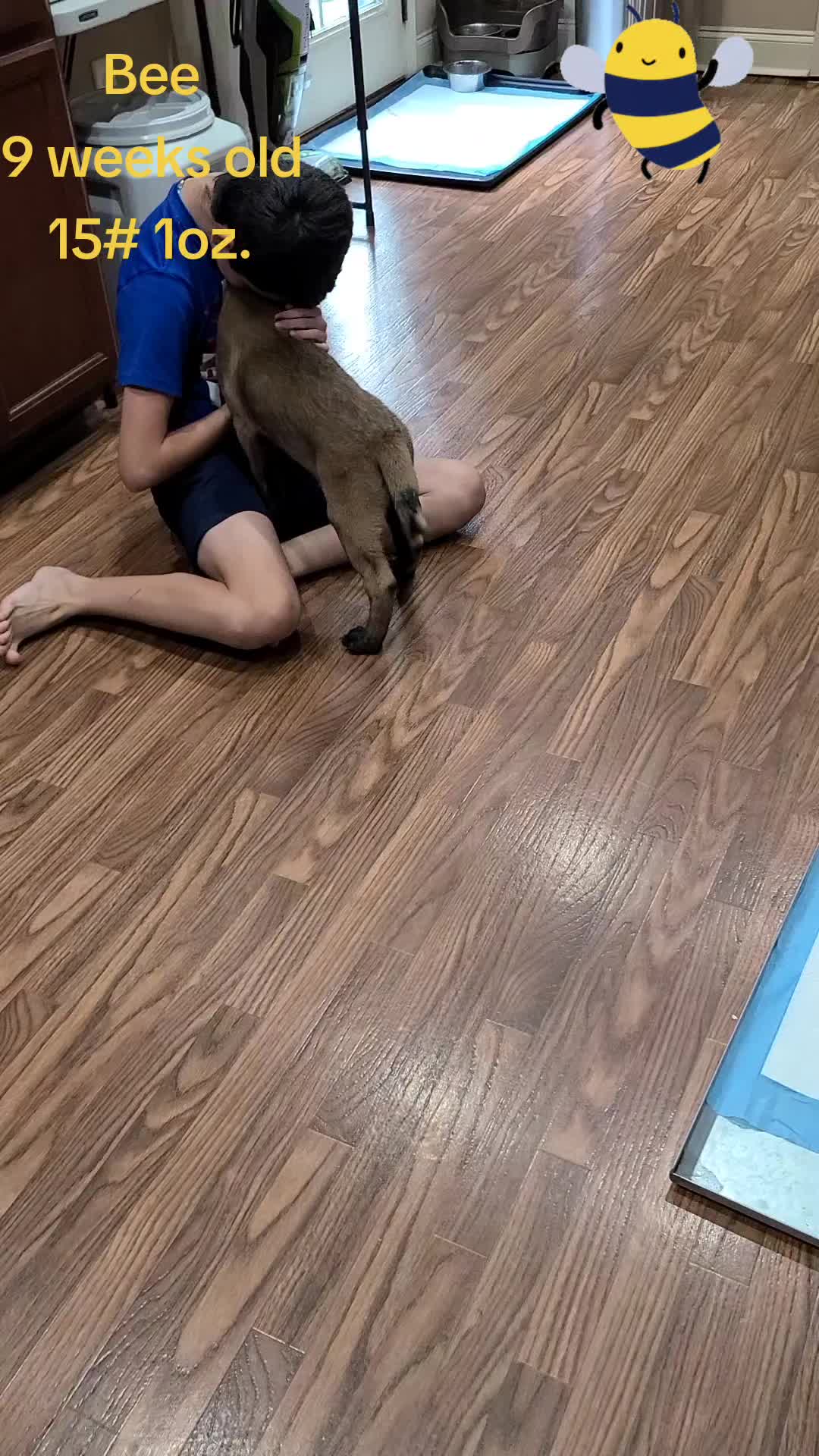 @My Mali Zelda