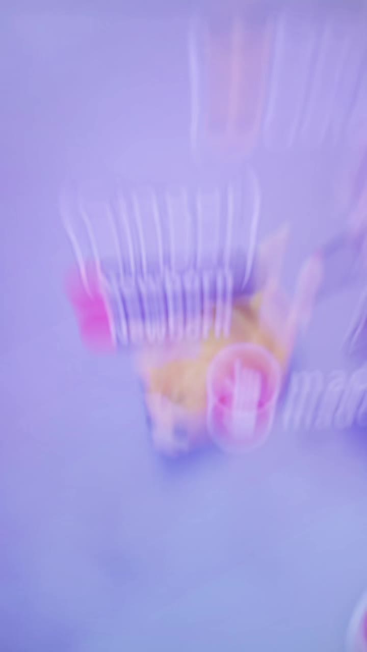 @Larry Mullen Jr