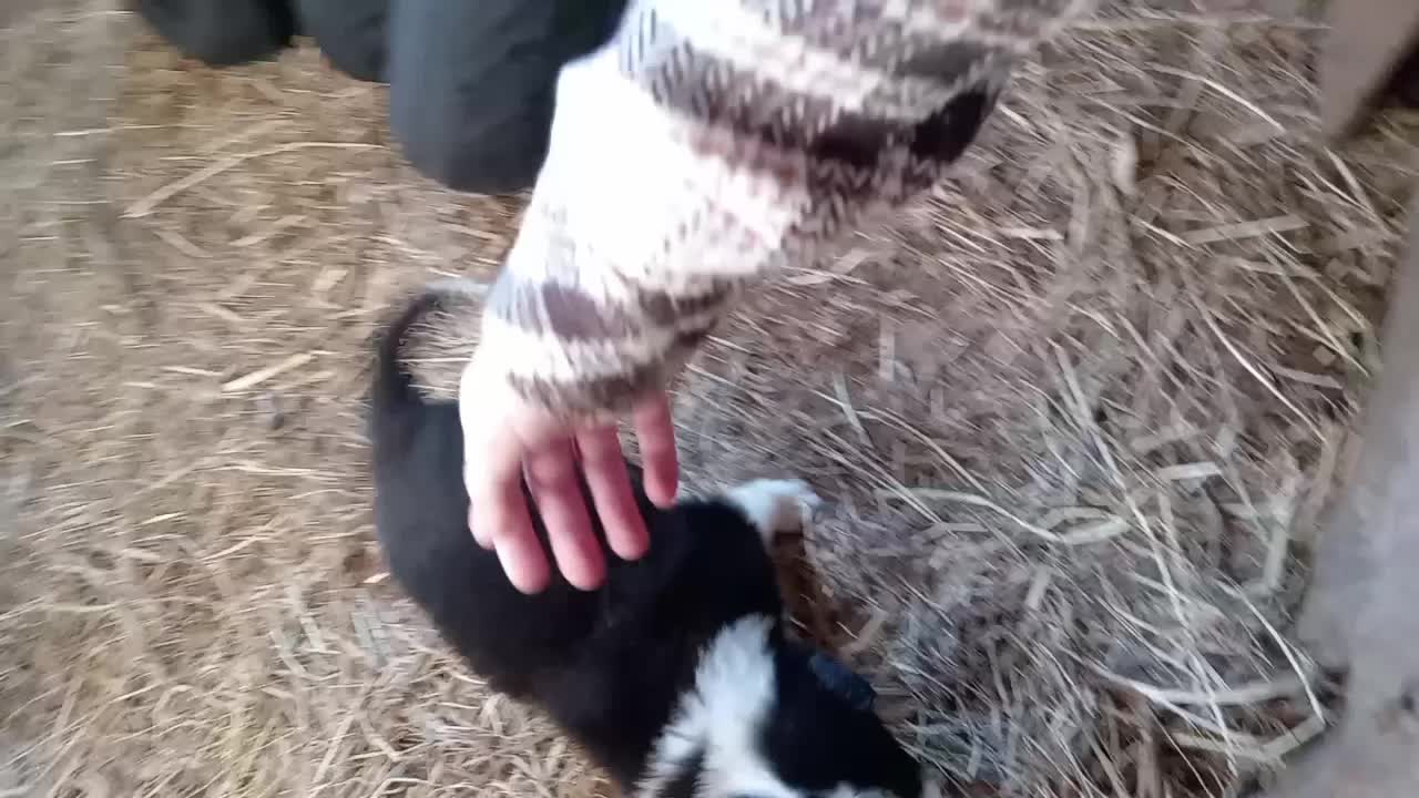 @бк💋