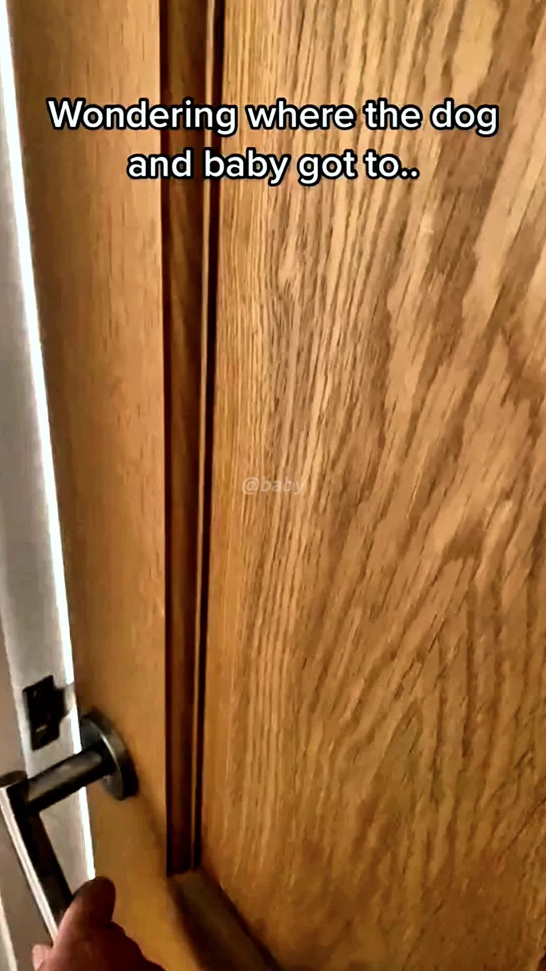 @𝗕𝗔𝗕𝗬
