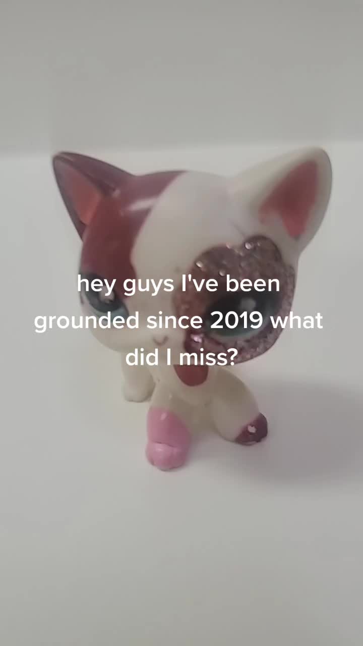 @evesmoon