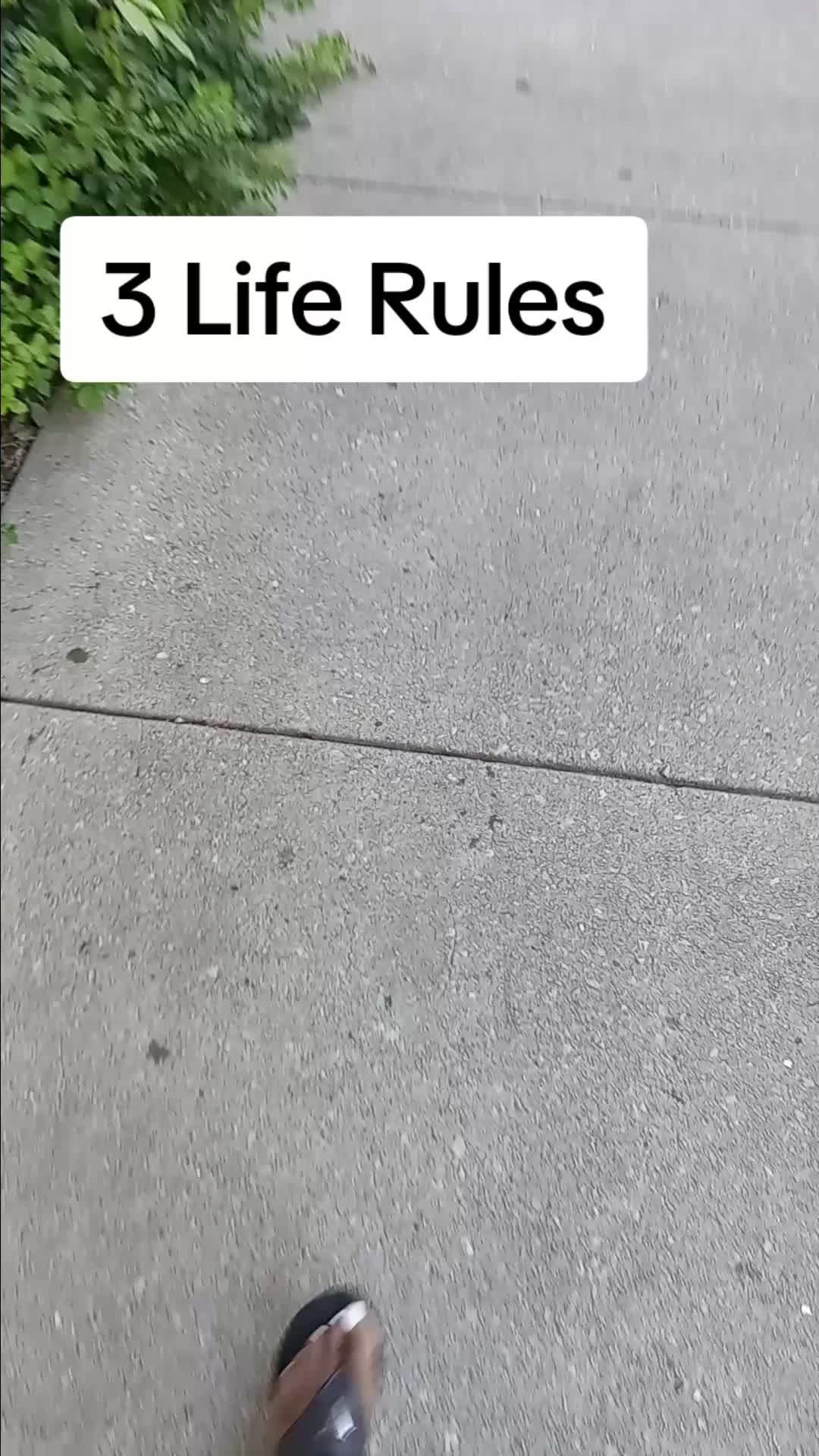 @Stella.Wilson