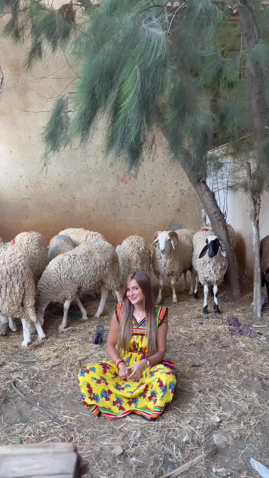 @Bouchra Ben Ayache