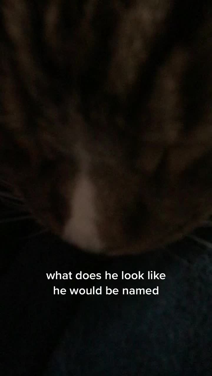 @mk
