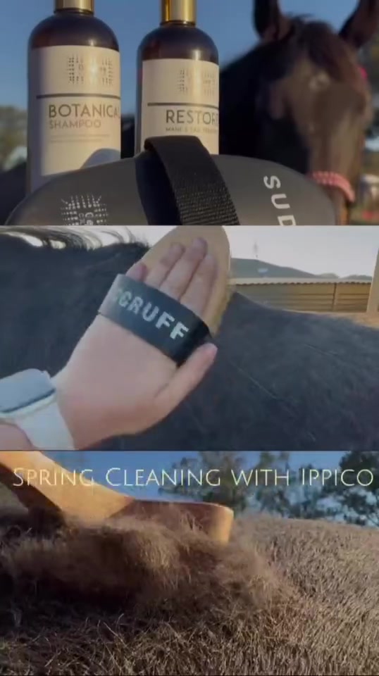@Ippico Equestrian