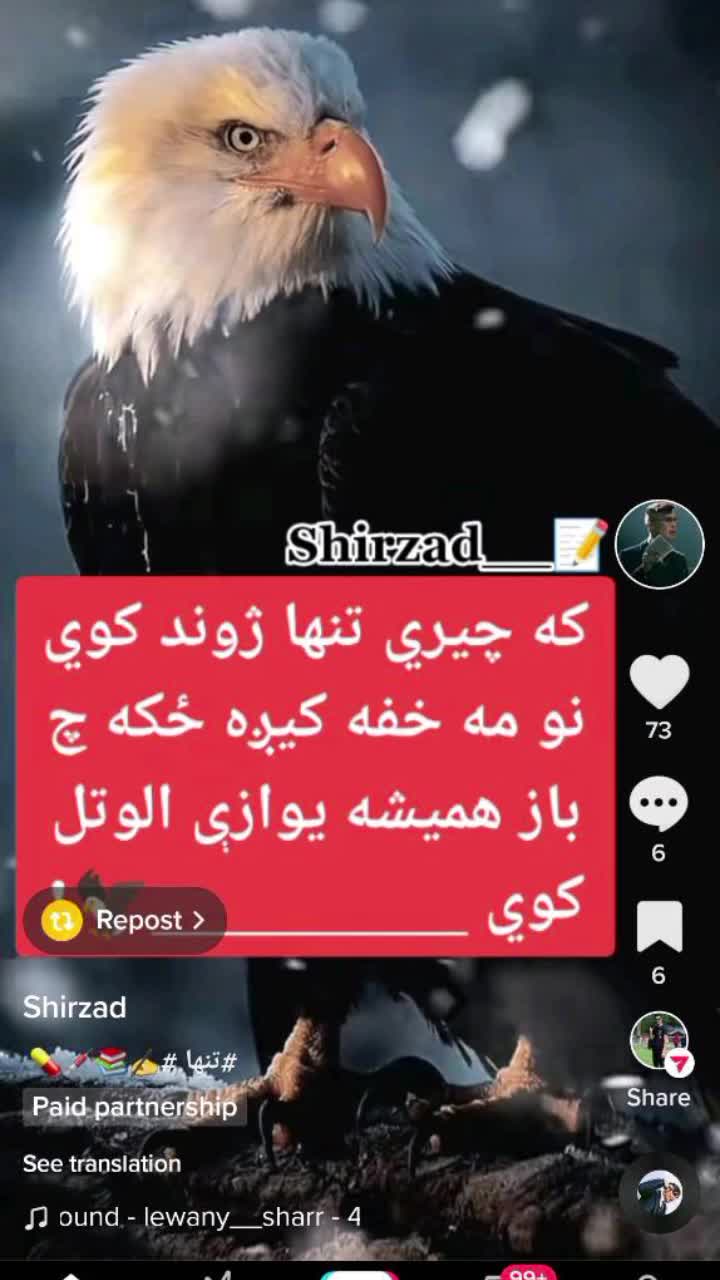 @Zahir Wafayar