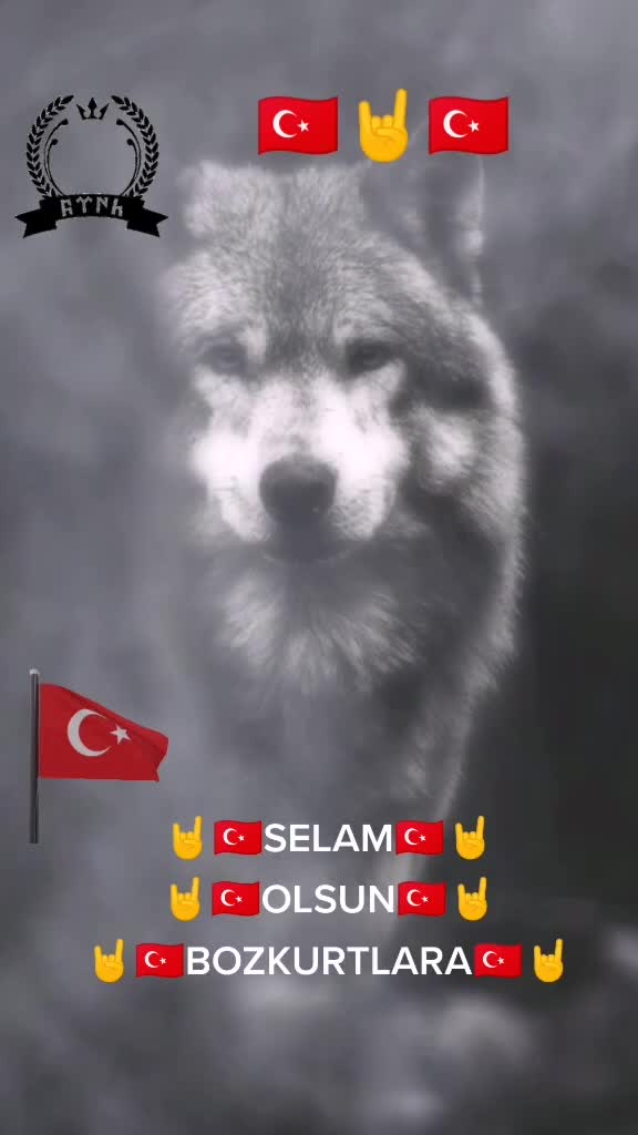 @cCc🇹🇷BOZKURT🇹🇷cCc