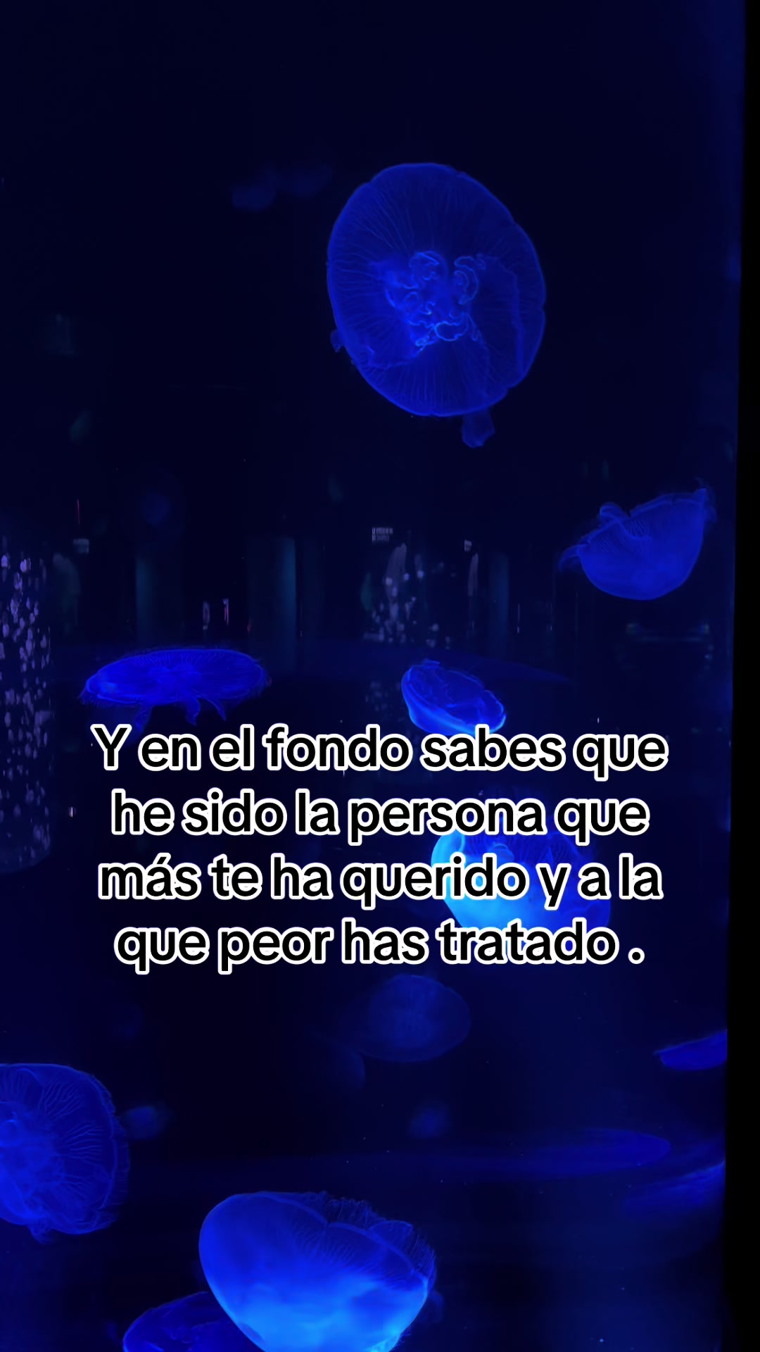 @usuarionomeconoces