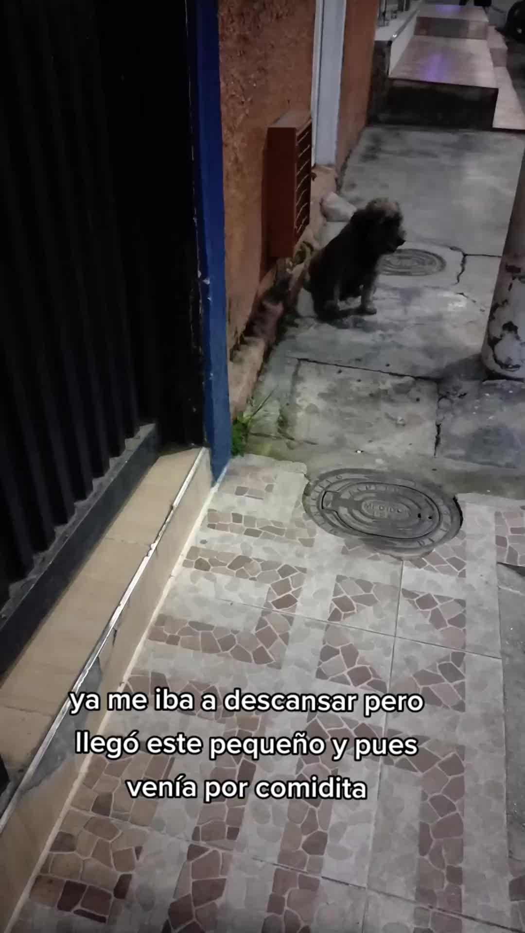 @ALFYULE
