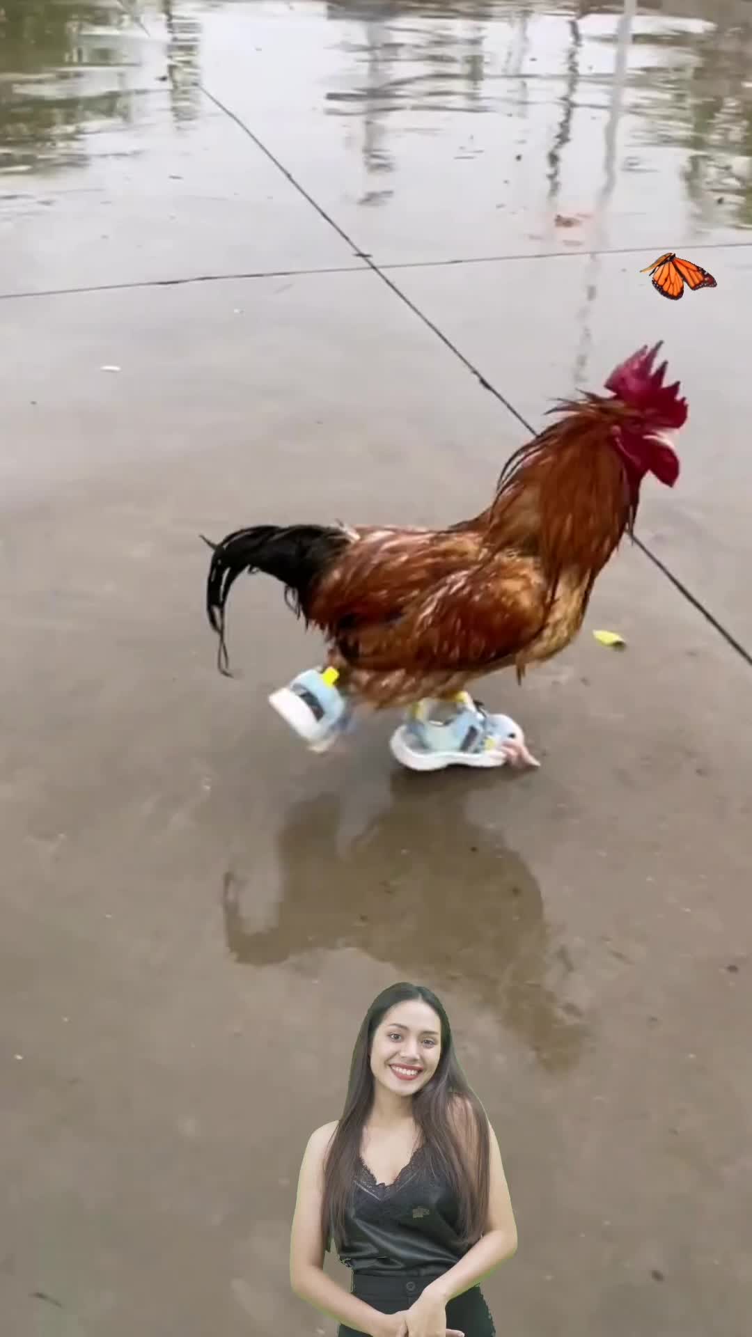 @mchhb