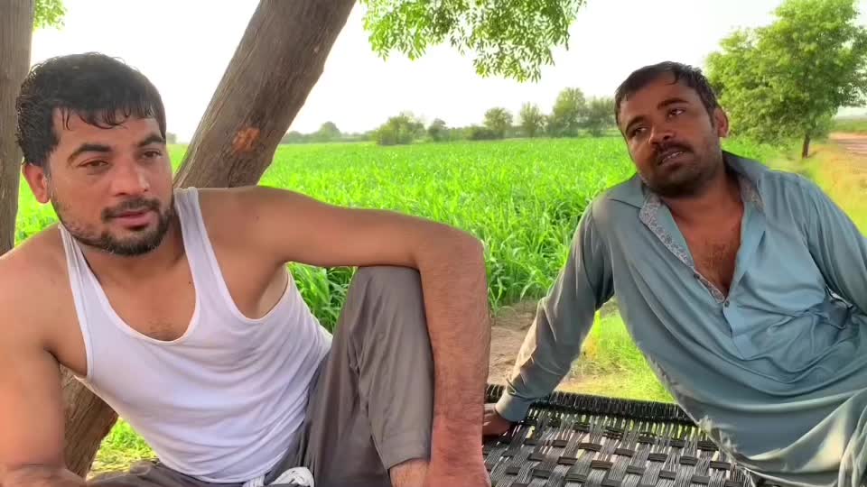 @Shahzaib Ali