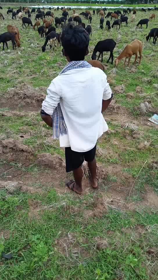 @ಅಪ್ಪು ಬಾಸ್ GS