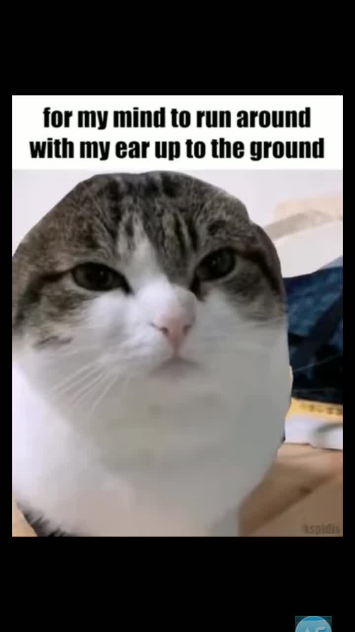 @fuc5 Jews