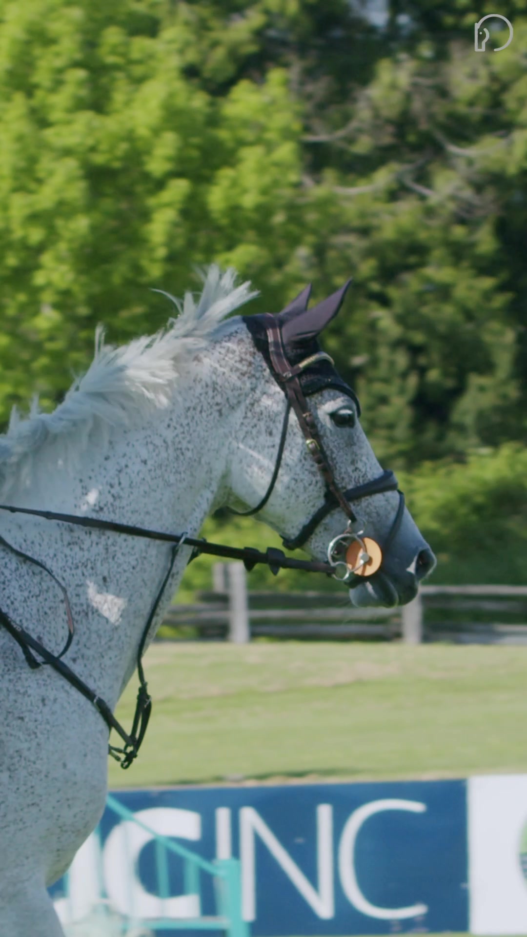 @HorseNetwork
