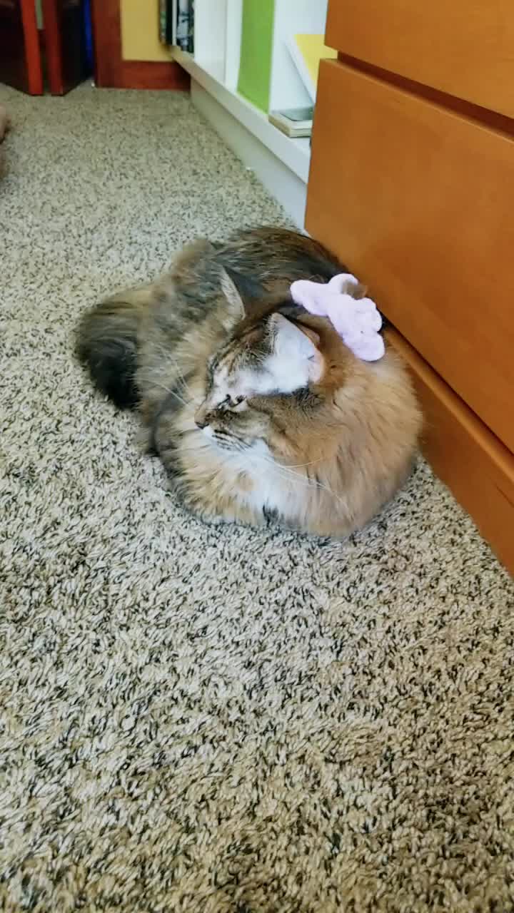 @💕Beast and Nugget💕