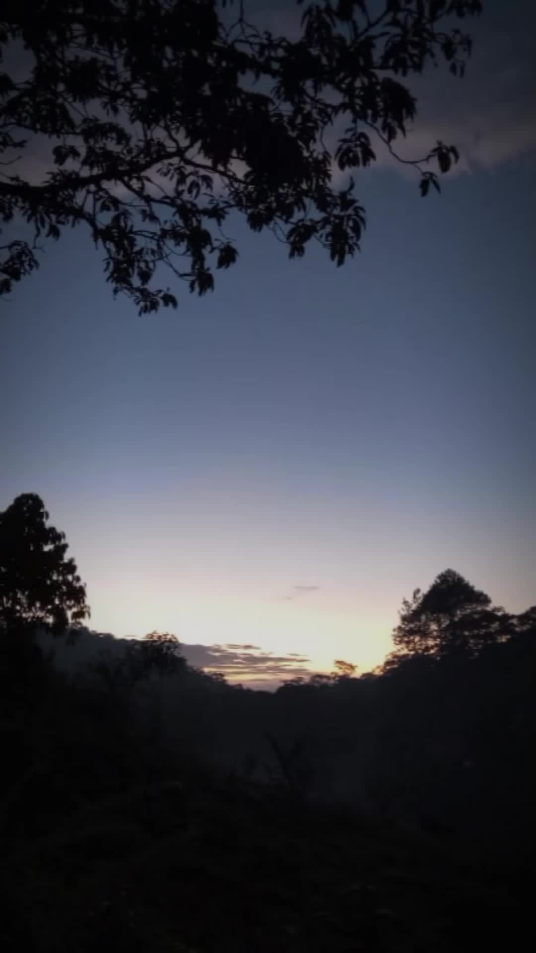 @marco vel 502