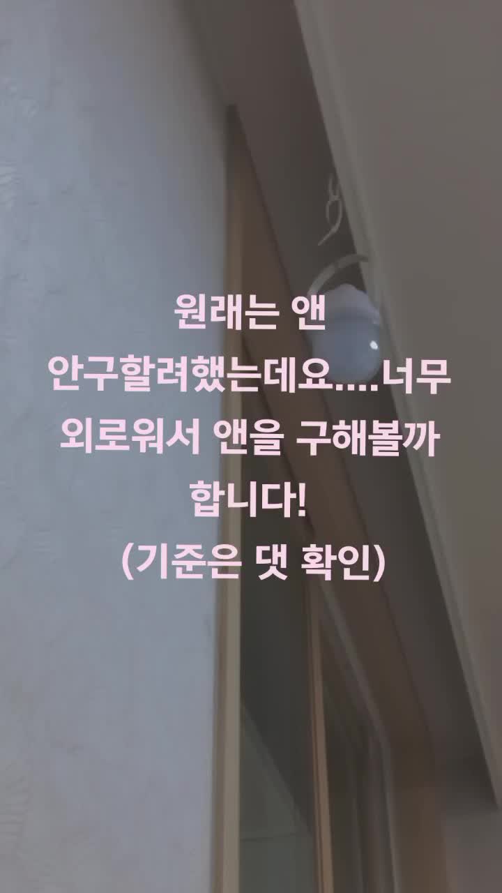 @휴리💜[부계]