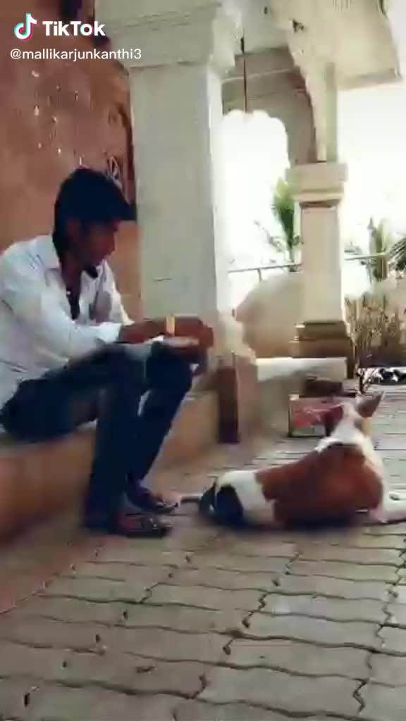 @Siddu Avaradi